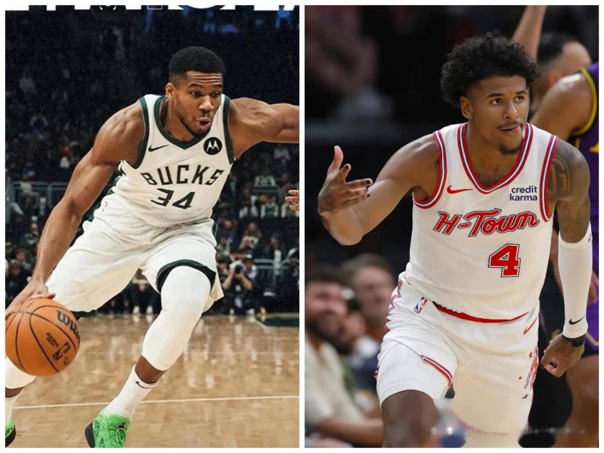 猛龙战胜黄蜂，取得胜利